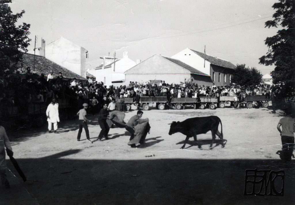 Suelta de Vaquillas en Plaza de Toros Alameda de Cervera construida con carros y remolques, 1.960